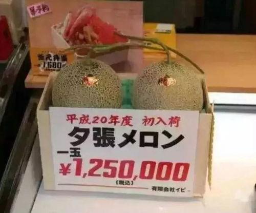 娱乐吃瓜大号